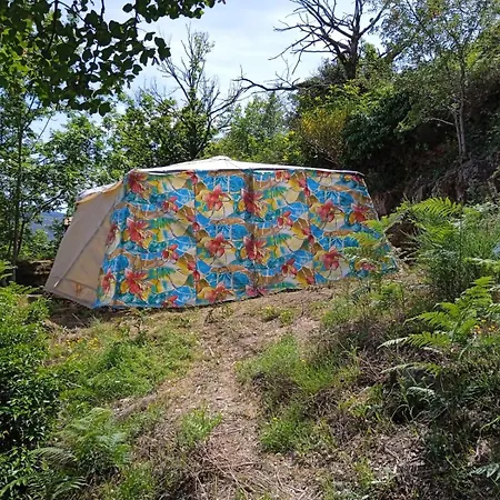 La Geoyourte * Saint-Vincent (Herault)